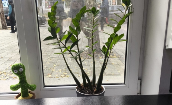 Как утеплить пластиковые окна в квартире своими руками: без мастера и дорогостоящих работ