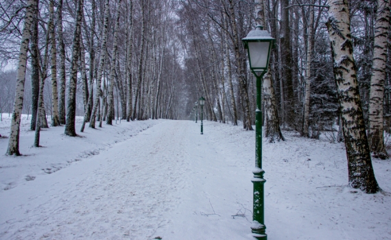 9 января 2026 — отмечаем Святки 4-й день, чествуем хореографов, именинников, отмечаем иные праздники 9 января 2026 — отмечаем Святки 4-й день, чествуем хореографов, именинников, отмечаем иные праздники