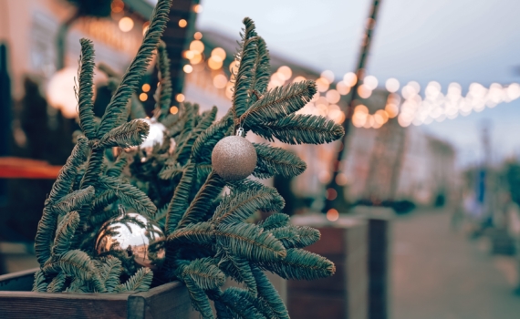 Иголки в дело: 5 мест, где работают лучше ароматизаторов — продлите новогоднее настроение без затрат Иголки в дело: 5 мест, где работают лучше ароматизаторов — продлите новогоднее настроение без затрат