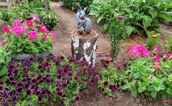 Идеальные опоры для огорода — бесплатные: как сделать шпалеры из того, что есть у каждого дачника Идеальные опоры для огорода — бесплатные: как сделать шпалеры из того, что есть у каждого дачника