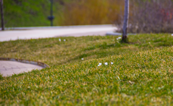 Вы думаете, что клещи только в мае: 5 фактов от экспертов, которые изменят ваше мнение в 2026 году Вы думаете, что клещи только в мае: 5 фактов от экспертов, которые изменят ваше мнение в 2026 году