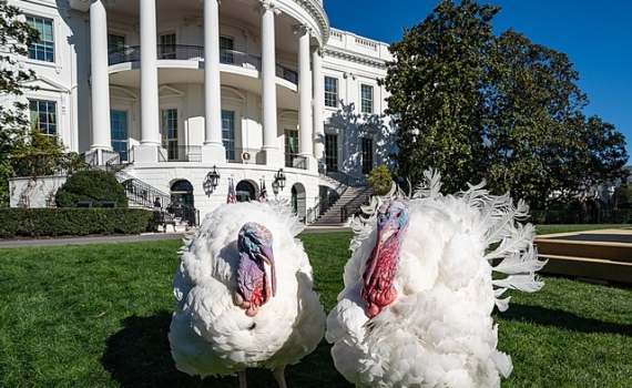 Дробницкий: Вэнса критикуют за смену позиции об Иране Дробницкий: Вэнса критикуют за смену позиции об Иране